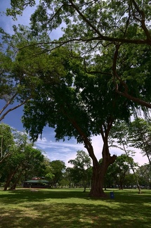 V parku Vihara Mahadevi