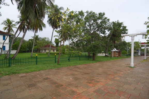 Cestou kolem Bodhi tree.