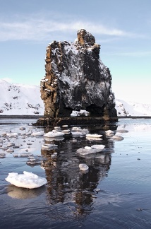 Hvítserkur